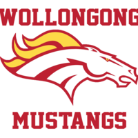 Wollongong Mustangs Gridiron Thumbnail
